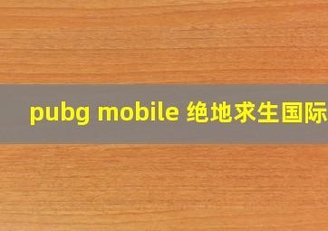 pubg mobile 绝地求生国际服